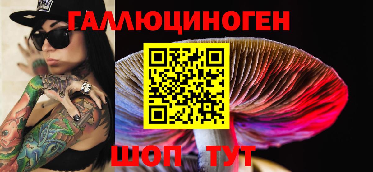Галлюциногенные грибы прущие грибы  Вход с VPN  Галлюциногенные грибы Psilocybine cubensis  Орёл 